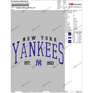 Yankess New york 6 by 10